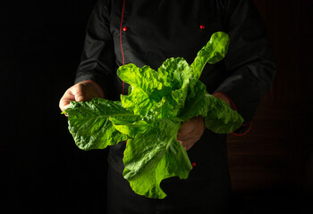 A chef holds vibrant romaine lettuce in a dimly lit kitchen, highlighting the freshness of the...