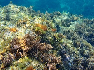 Calella de Palafrugell, Gerona, Cataluña, España