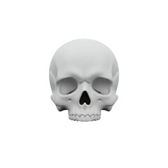 Fototapeta premium Isolated White Skull with Transparent Background: A Versatile Image for Halloween, Mortality, and Anatomy Projects (3D Rendering)
