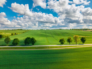Aerial landscape of the green fields in northern Poland at spring time.