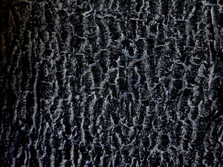 THE BEAUTY OF ABSTRACT ARTISTIC SURFACE TEXTURE	