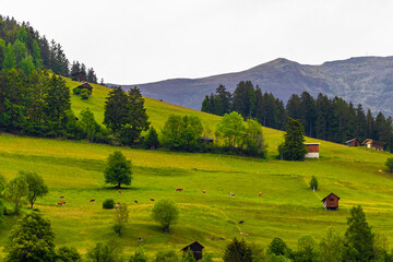Austria alpine mountain landscape panorama with blue sky and nature.