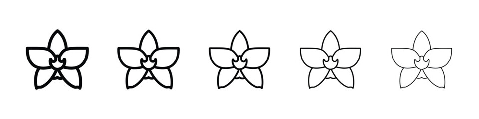Moth orchid icon logo in stroke lines collection © Warpiya