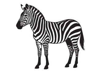 black zebra logo vector silhouette, zebra logo icon silhouette, zebra silhouette vector illustration, zebra silhouette vector logo on white background