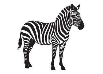 black zebra logo vector silhouette, zebra logo icon silhouette, zebra silhouette vector illustration, zebra silhouette vector logo on white background