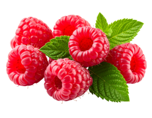 Raspberries with Mint: A vibrant close-up showcases fresh, juicy raspberries alongside fragrant mint leaves. The image evokes the deliciousness of ripe.