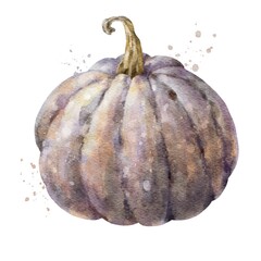 Colorful watercolor pumpkin. Helloween element. Digital illustration.