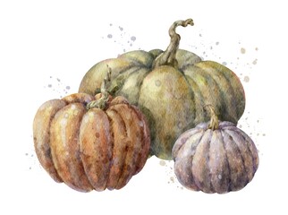 Colorful watercolor pumpkin set. Helloween element. Digital illustration.
