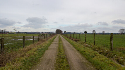 A peaceful and tranquil dirt road meanders through lush green fields, framed by barbed wire fences beneath a gray sky