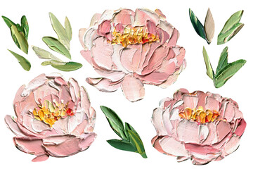Set flowers, Peonies and leaves impasto oil painting clipart for floral wall prints wedding stationery or romantic decor