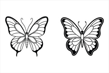 Two Black Line Art Butterflies White Background butterfly