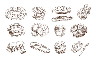 Hand drawn vintage sketch of assorted bakery goods in monochrome style, isolated vector bread and pastry set
