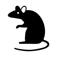 Rat