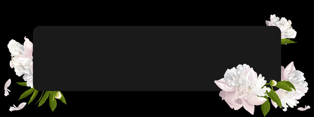 white peonies with green leaves and buds, and white individual petals on a black background