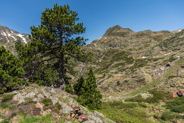 long-distance trail, High Pyrenean Route (HRP) towards the Certascan refuge, Pallars Sobirà...