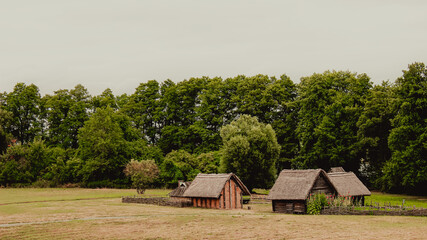 Rustic Wooden Farmhouses in a Peaceful Countryside Meadow with a Tree-Lined Horizon