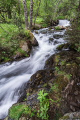 torrent loaded with meltwater, Rialb Valley, Ordino district, Andorra, Europe