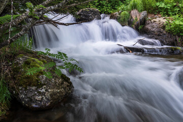 Estanyó river through the forest, Sorteny Valley Natural Park, Ordino district, Andorra, Europe