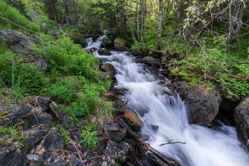 Estanyó river through the forest, Sorteny Valley Natural Park, Ordino district, Andorra, Europe