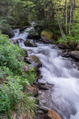 Estanyó river through the forest, Sorteny Valley Natural Park, Ordino district, Andorra, Europe