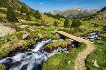 stream with meltwater flowing down the Sorteny valley, Sorteny Valley Natural Park, Ordino...