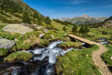 Fototapeten Naturpark stream with meltwater flowing down the Sorteny valley, Sorteny Valley Natural Park, Ordino district, Andorra, Europe  © Tolo