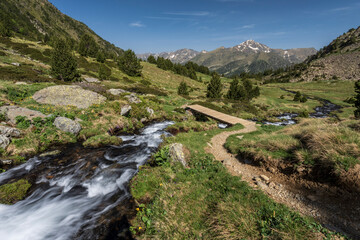 stream with meltwater flowing down the Sorteny valley, Sorteny Valley Natural Park, Ordino...