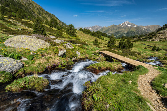 stream with meltwater flowing down the Sorteny valley, Sorteny Valley Natural Park, Ordino district, Andorra, Europe