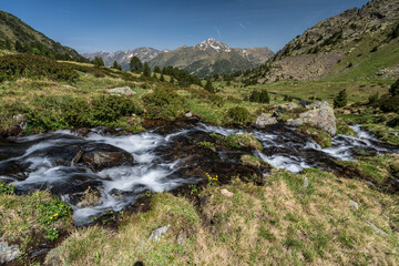 stream with meltwater flowing down the Sorteny valley, Sorteny Valley Natural Park, Ordino district, Andorra, Europe