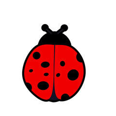 ladybug icon illustration with red and black body. Simple and bold insect design suitable for kids, education, nature, or decorative purposes