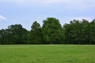 A serene landscape with a green field, trees and a dark rainy sky