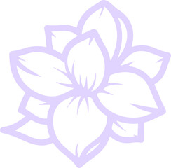 jasmine vector flower illustration transparent pattern 