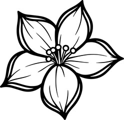 jasmine vector flower illustration transparent pattern 