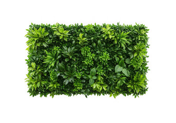 Lush green greenery wall panel texture