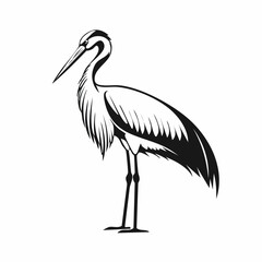 Crane Bird Vector Images. Majestic Crane Stork Images isolated on white background
