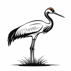 Crane Bird Vector Images. Majestic Crane Stork Images isolated on white background