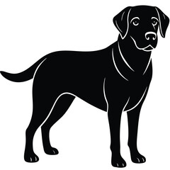 Fototapeta premium dog vector