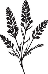 Elegant Lavender Sprig Sketch: A minimalist sketch showcases a single sprig of lavender, its delicate flowers and stem rendered in simple, artistic lines.