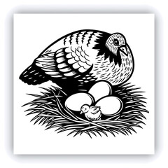 A mature, gray and white turkey hen is centered in a nest of straw. She is brooding over three eggs, with two small, light yellow chicks visible near the eggs. The turkey is positioned in a slightly c