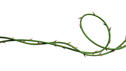 Thorn vines background. Wild prickly vines banner isolated. 3D rendering