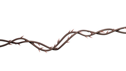 Thorn vines background. Wild prickly vines banner isolated. 3D rendering