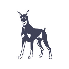 Doberman Dog logo design vector. Template Illustration. Icon Symbol