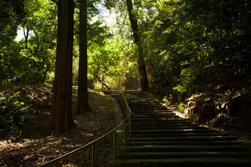Obraz premium 東山植物園