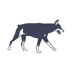 Doberman Dog logo design vector. Template Illustration. Icon Symbol