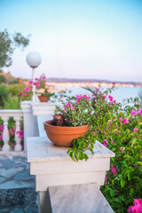Bougainvillea and potted plant on coastal balcony with sea view in Greece