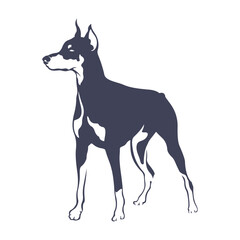 Doberman Dog logo design vector. Template Illustration. Icon Symbol