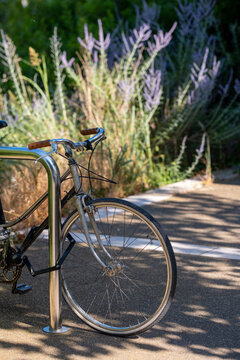 Bicycle parked by sidewalk with lavender plants in Montpellier, France, soft natural light and urban design integration