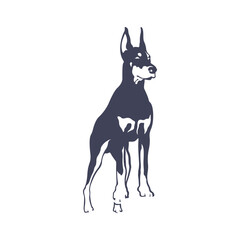 Doberman Dog logo design vector. Template Illustration. Icon Symbol