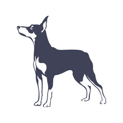 Doberman Dog logo design vector. Template Illustration. Icon Symbol