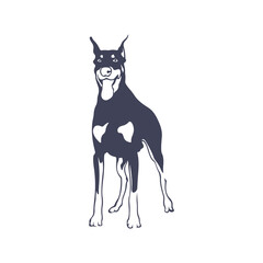 Doberman Dog logo design vector. Template Illustration. Icon Symbol